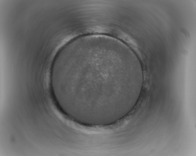 X0000111020012200907022208