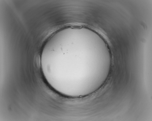 X0000111020013200907022208