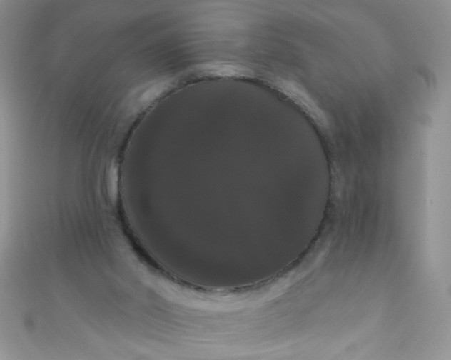 X0000111020014200907022208