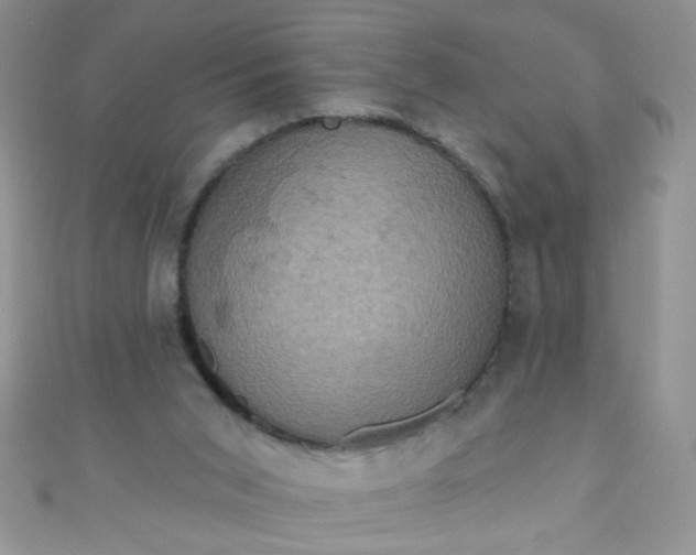 X0000111020015200907022208