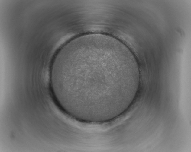 X0000111020016200907022208