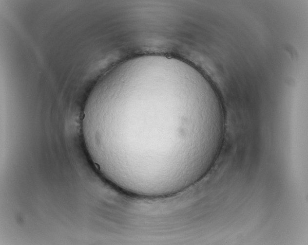 X0000111020017200907022208