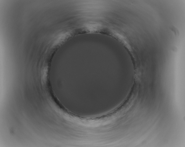 X0000111020018200907022208