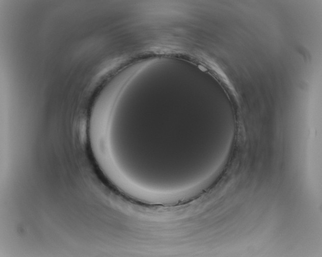 X0000111020019200907022208