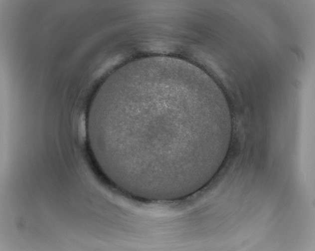 X0000111020020200907022208