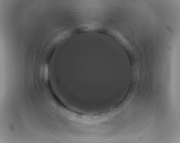 X0000111020022200907022208