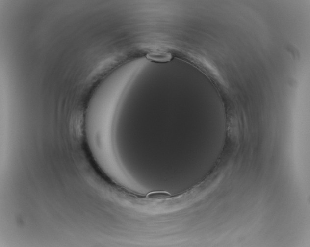 X0000111020023200907022208