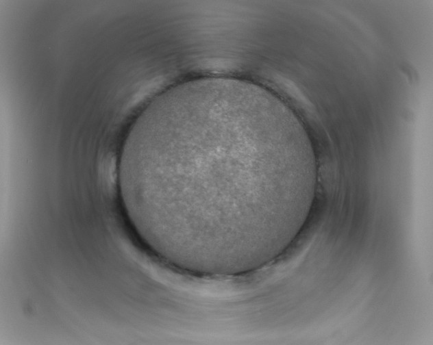 X0000111020024200907022208