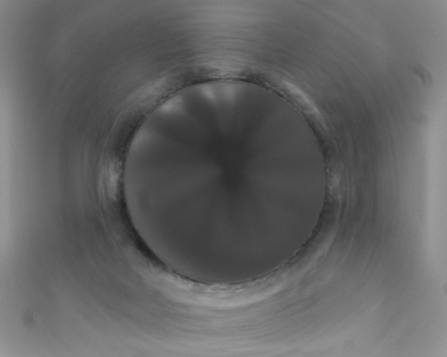 X0000111020026200907022208