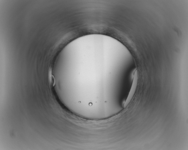 X0000111020027200907022208