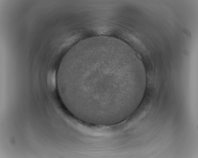 X0000111020028200907022208