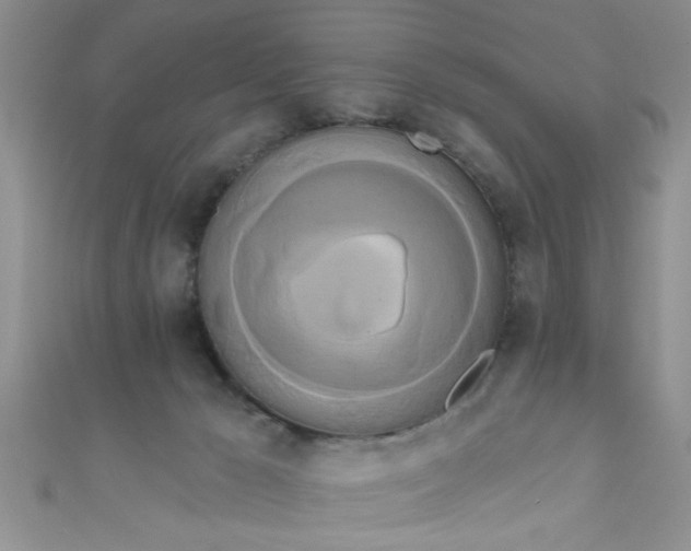 X0000111020029200907022208