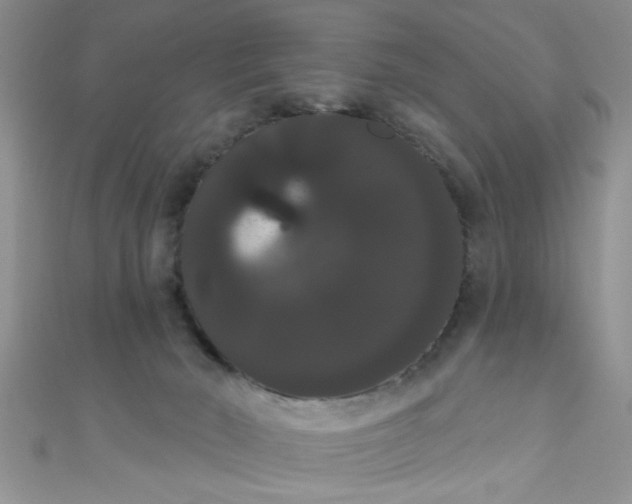 X0000111020030200907022208