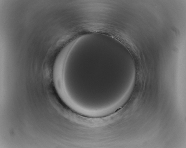 X0000111020031200907022208