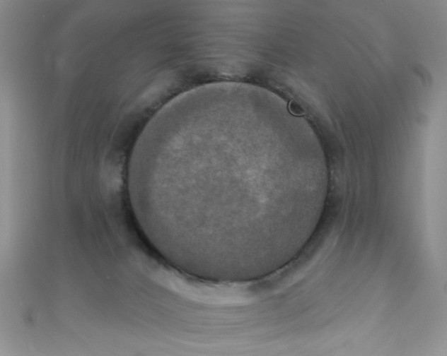 X0000111020032200907022208