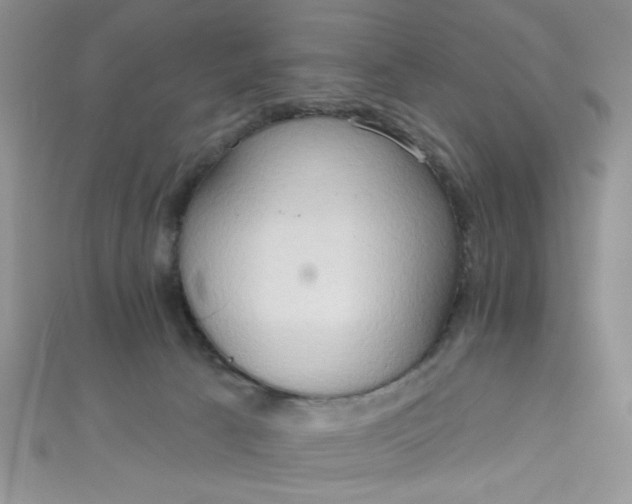 X0000111020033200907022208