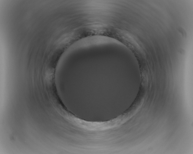 X0000111020034200907022208