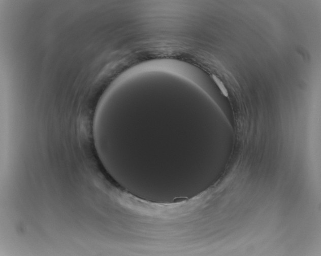 X0000111020035200907022208
