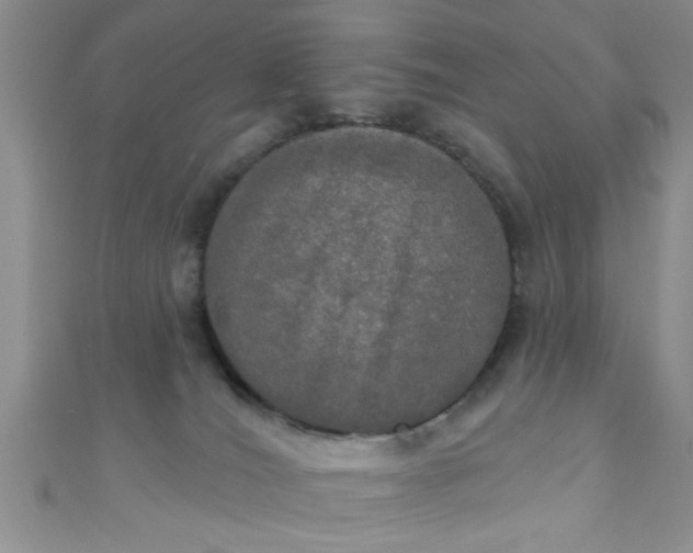 X0000111020036200907022208