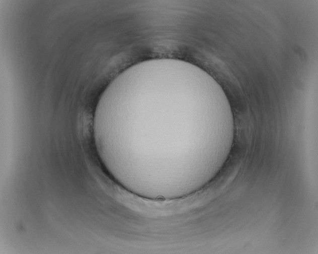 X0000111020038200907022208