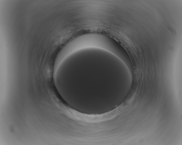 X0000111020039200907022208