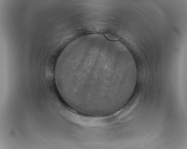 X0000111020040200907022208