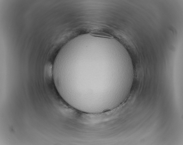 X0000111020041200907022208