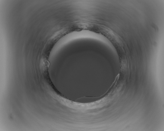 X0000111020043200907022208