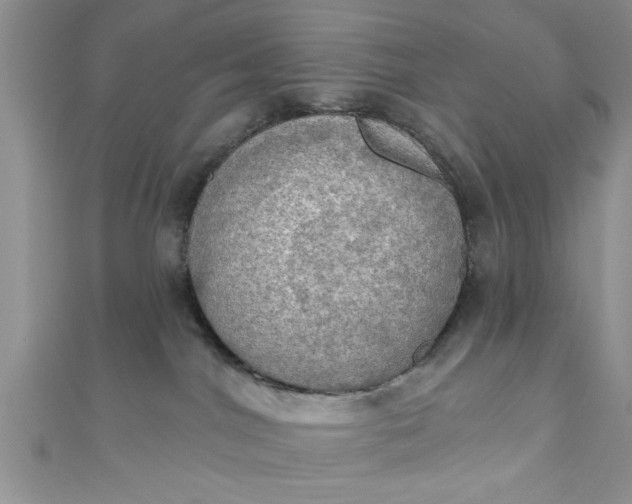 X0000111020044200907022208