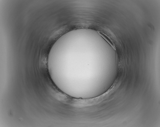 X0000111020045200907022208