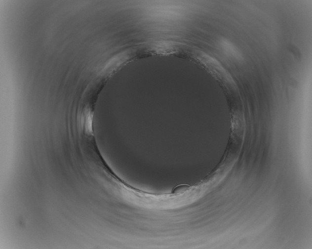 X0000111020046200907022208