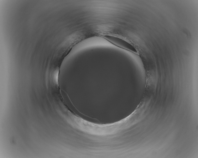 X0000111020047200907022208