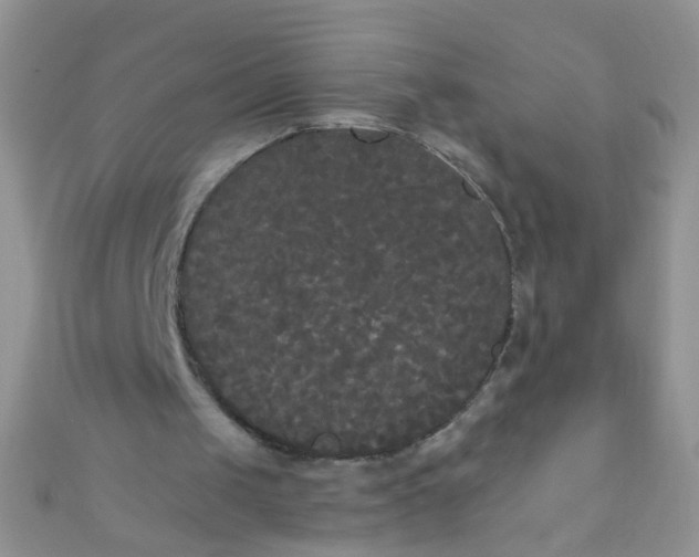 X0000111020049200907022207