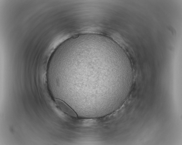 X0000111020050200907022207