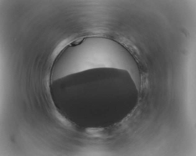 X0000111020051200907022207