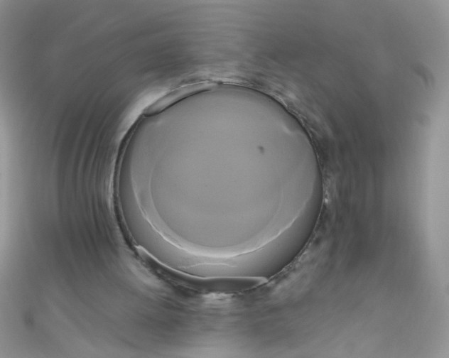 X0000111020052200907022207