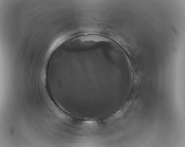 X0000111020053200907022207