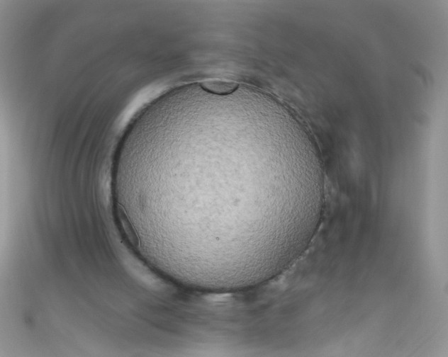 X0000111020054200907022207