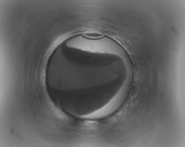 X0000111020055200907022207