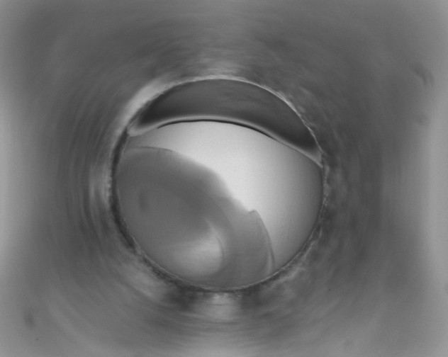 X0000111020056200907022207