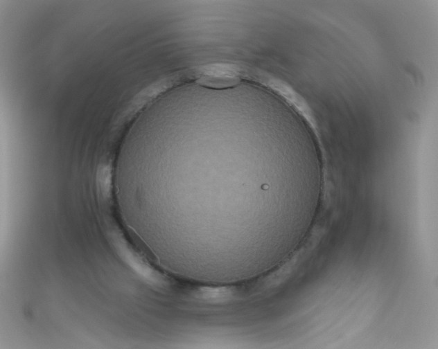 X0000111020057200907022207
