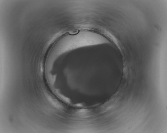 X0000111020059200907022207