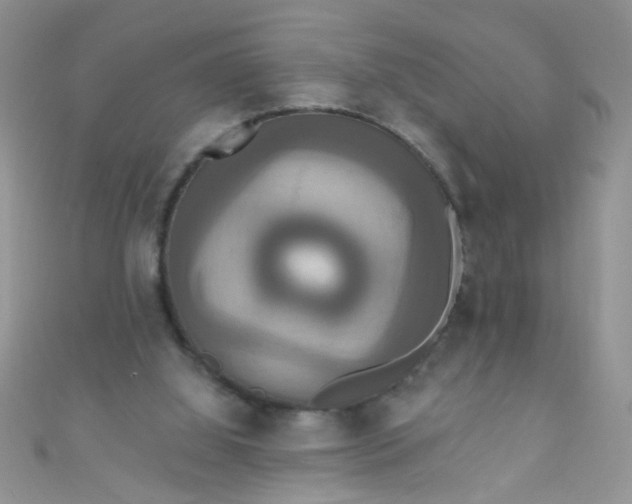 X0000111020060200907022207