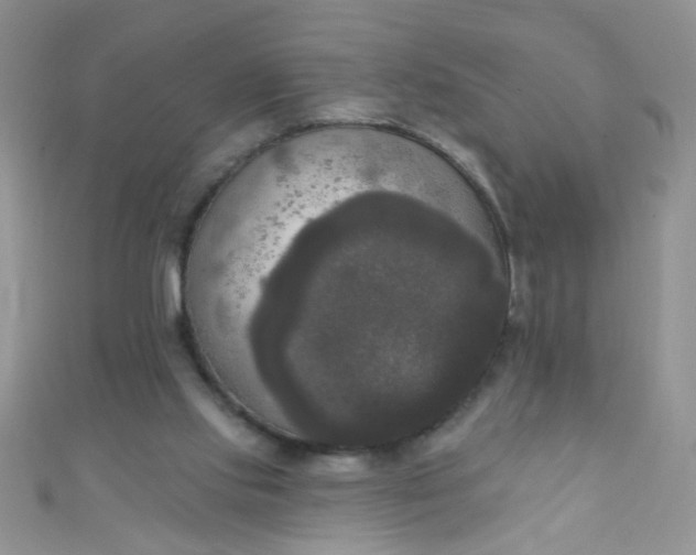 X0000111020061200907022207