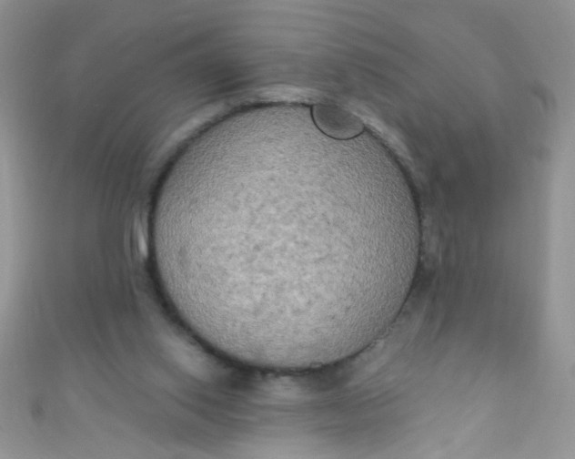 X0000111020062200907022207