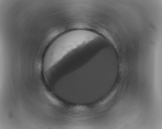 X0000111020063200907022207