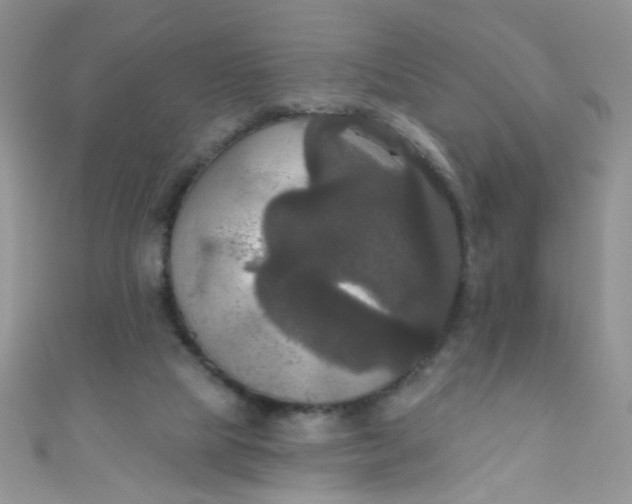 X0000111020065200907022207