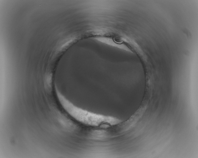 X0000111020066200907022207