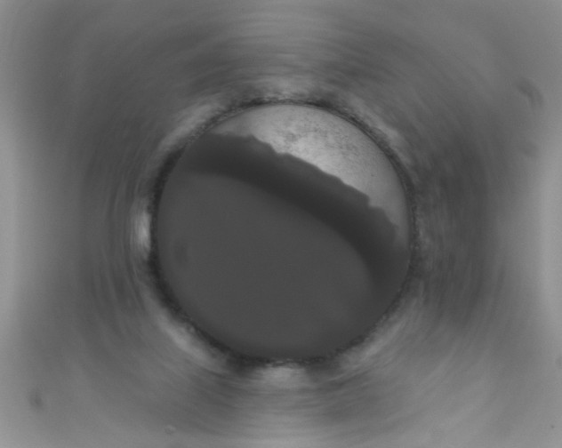 X0000111020067200907022207