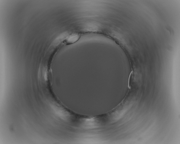 X0000111020068200907022207